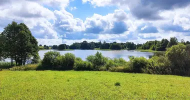 Дом в Воропаевский сельский Совет, Беларусь