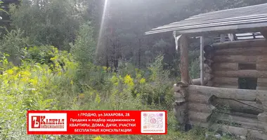 Участок земли в Гожский сельский Совет, Беларусь