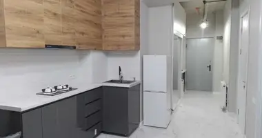 Apartment for rent in Nadzaladevi in Tiflis, Georgien