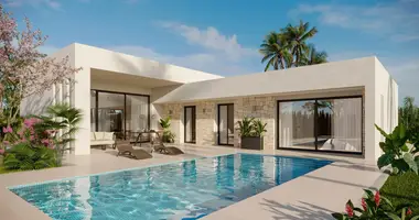 Villa 3 bedrooms in Aspe, Spain