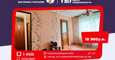 1 bedroom apartment in Sluck, Belarus