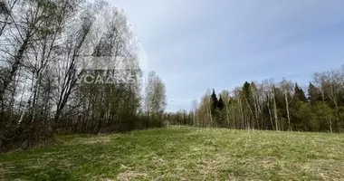 Plot of land in gorodskoy okrug Istra, Russia