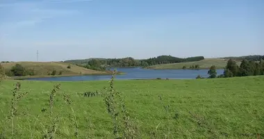 Plot of land in Riesutine I, Lithuania