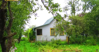 House in Minsk, Belarus