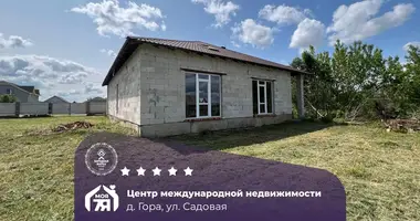 Haus in Hara, Belarus