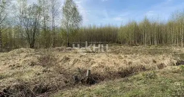 Grundstück in gorodskoy okrug Bor, Russland