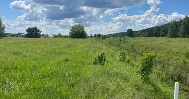 Plot of land in Gailiunai, Lithuania