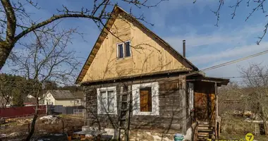 House in Lasanski sielski Saviet, Belarus