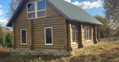 House in Piatryskauski sielski Saviet, Belarus