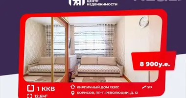 Apartment in Barysaw, Belarus