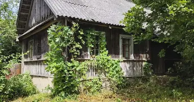 House in Ivianiecki sielski Saviet, Belarus