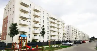 3 room apartment in Lask, Poland