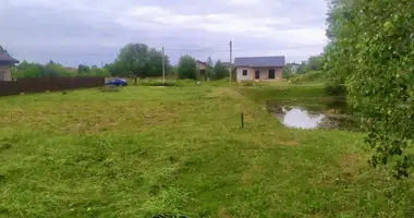 Działka w Dziamidavicki sielski Saviet, Białoruś