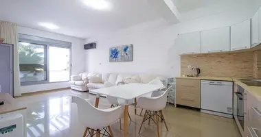 Apartamento 1 habitacion en Kotor, Montenegro