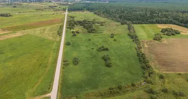 Działka w Zaprudzie, Litwa