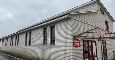 Geschäft 380 m² in Baryssau, Belarus