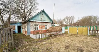 2 room house in Licviany, Belarus