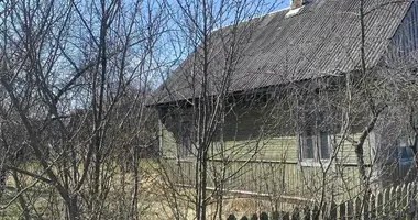 House in Hantsavichy, Belarus