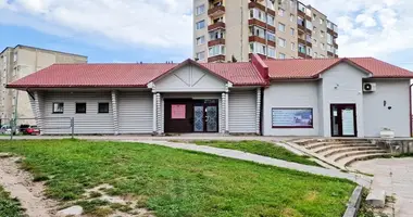Коммерческое помещение 182 м² в Паневежис, Литва