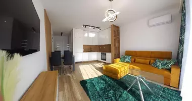 2 bedroom apartment with Furniture, with Parking, with Air conditioner in Krakow, Poland