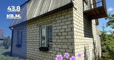 Haus in Krosynski sielski Saviet, Belarus