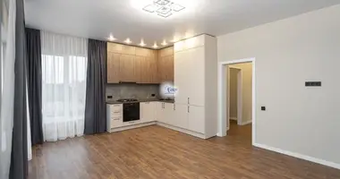 2 room house in Laskino, Russia