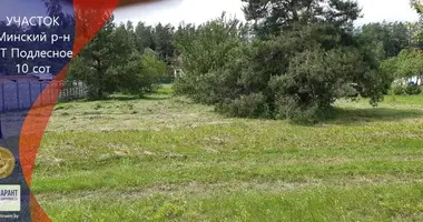 Plot of land in Navapolski sielski Saviet, Belarus