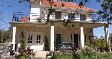 9 room house in Belgrade, Serbia