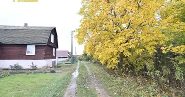 Участок земли в Острошицкий сельский Совет, Беларусь