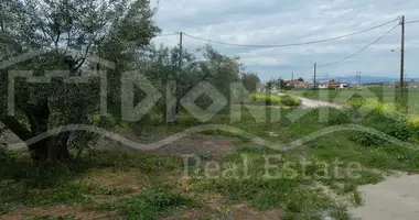 Plot of land in Flogita, Greece