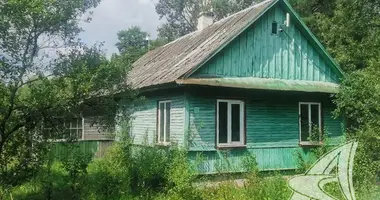 House in Radvanicki sielski Saviet, Belarus