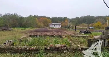 Maison dans Recycki siel ski Saviet, Biélorussie