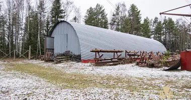 Entrepôt 376 m² dans Kalodziscanski siel ski Saviet, Biélorussie