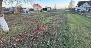 Działka w Fanipalski sielski Saviet, Białoruś