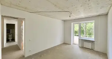 2 room apartment in Minsk, Belarus