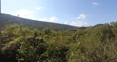 Terrain dans Kotor, Monténégro