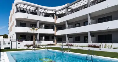 1 bedroom apartment in Urbanizacion Mil Palmeras, Spain