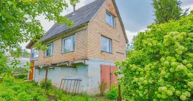 House in Lasanski sielski Saviet, Belarus