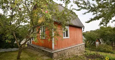 House in Rakauski sielski Saviet, Belarus