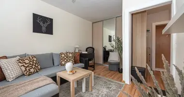 Apartamento 1 habitación en Vilna, Lituania