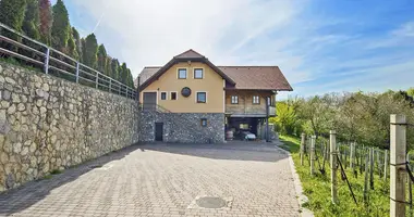 Fertiges Geschäft 330 m² in Raka, Slowenien