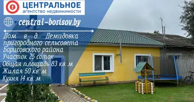 House in Demidovka, Belarus