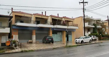 Commercial property 416 m² in Kriopigi, Greece