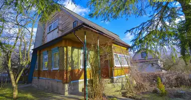 House in Piatryskauski sielski Saviet, Belarus