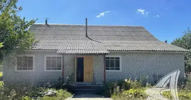 House in Kamarouka, Belarus