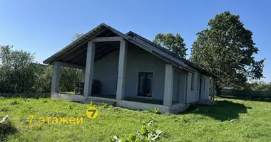 House in Turynski sielski Saviet, Belarus