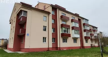 Wohnung 1 Zimmer in Naracki sielski Saviet, Weißrussland