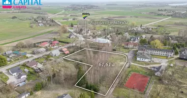 Plot of land in Anavilis, Lithuania
