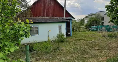 Haus in Luhavaslabadski sielski Saviet, Belarus