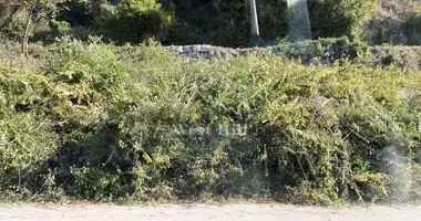 Terrain dans Markovichi, Monténégro